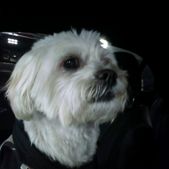 Meet your Posher, Mike - Picture 1 of 1